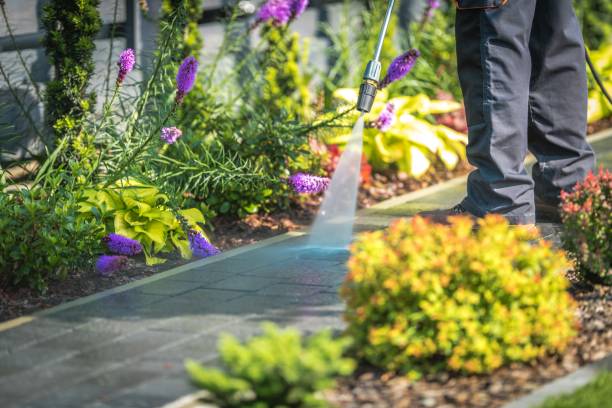 Best Post-Construction Pressure Washing  in Packanack Lake, NJ